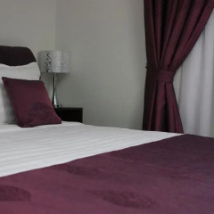 Vivulskio Hotel 3* Стандартный номер с двуспальной кроватью фото 6