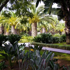 Отель Sofitel Rabat Jardin des Roses фото 7
