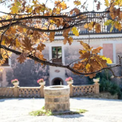 Отель Agriturismo Fonte di Maroglio Кастровиллари фото 3