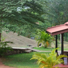 Отель Yala Freedom Villa фото 3