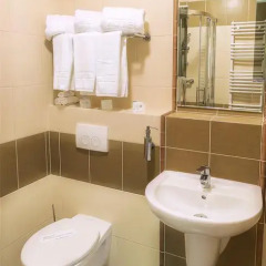 Hotel Brochów Стандартный номер фото 9