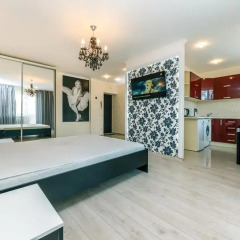 Гостиница LuxCenterApartment Студия с разными типами кроватей фото 10