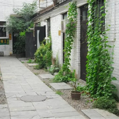 P.Loft Youth Hostel Кровать в мужском общем номере с двухъярусной кроватью фото 4