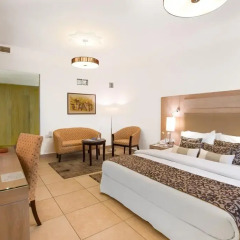 Toledo Hotel 4* Представительский люкс с различными типами кроватей фото 4