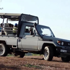Отель The Yala Adventure городской автобус