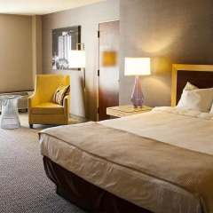 Отель Plaza Hotel & Casino США, Лас-Вегас - 1 отзыв об отеле, цены и фото номеров - забронировать отель Plaza Hotel & Casino онлайн комната для гостей