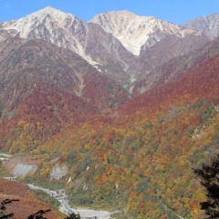 Отель Lodge Karunaju & The Alpine Grill Хакуба фото 5