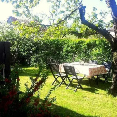Olive Hostel