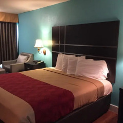 Отель Rodeway Inn Vicksburg 2* Стандартный номер с различными типами кроватей фото 4