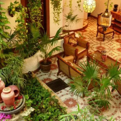 Отель Posada Mariposa Boutique Плая-дель-Кармен фото 11