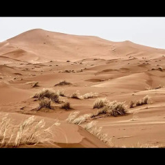Отель Bambara Desert Camps Марокко, Мерзуга - отзывы, цены и фото номеров - забронировать отель Bambara Desert Camps онлайн фото 2