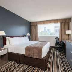 Отель Super 8 Downtown Toronto комната для гостей фото 5