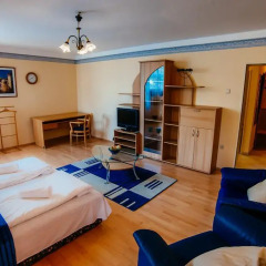 Апартаменты DnD Apartments Buda Castle комната для гостей