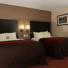 Отель Comfort Inn Los Angeles 3* Стандартный номер фото 7