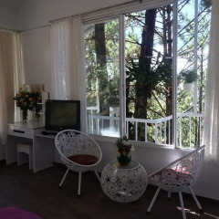 Отель Pine Hill Homestay Dalat комната для гостей фото 3