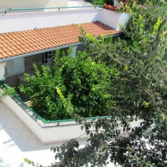 Апартаменты Apartments Pino Студия с различными типами кроватей фото 8