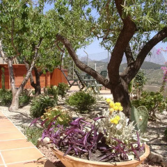 Отель B&B Villa Pico фото 7