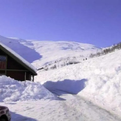 Håradalen Cottages and Hostel Стандартный номер с различными типами кроватей фото 6