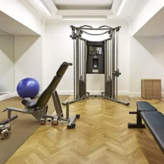 Отель King George, a Luxury Collection Hotel, Athens Греция, Афины - отзывы, цены и фото номеров - забронировать отель King George, a Luxury Collection Hotel, Athens онлайн фитнесс-зал фото 4