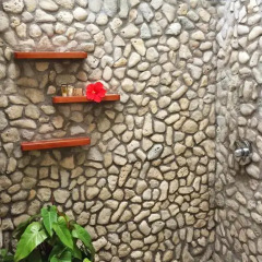 Отель Coral Beach Village Resort Бунгало с различными типами кроватей фото 7