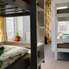 Отель Tree House Кровать в женском общем номере с двухъярусной кроватью