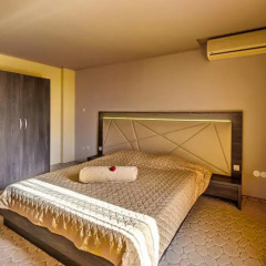 Hotel Vitosha Tulip комната для гостей фото 5