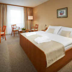 Spa Hotel Devin 3* Стандартный номер с различными типами кроватей фото 2