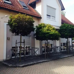 Отель Joe's Polo Ranch Стандартный номер с различными типами кроватей фото 2