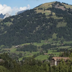 Отель Park Gstaad Швейцария, Гштад - отзывы, цены и фото номеров - забронировать отель Park Gstaad онлайн фото 3