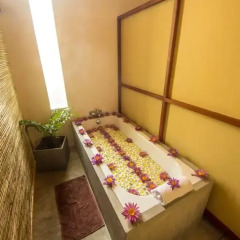 Отель Amba Ayurveda Boutique Hotel Шри-Ланка, Пляж Golden Mile - отзывы, цены и фото номеров - забронировать отель Amba Ayurveda Boutique Hotel онлайн помещение для мероприятий фото 2