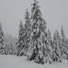 Отель FeWo Harz Haennig 1 спортивное сооружение