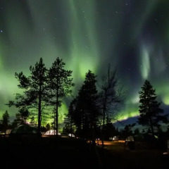 Отель Kakslauttanen Arctic Resort - Igloos and Chalets фото 6