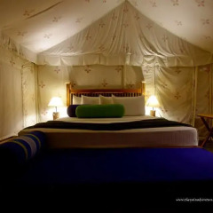 Отель The Yala Adventure 3* Стандартный номер с различными типами кроватей фото 9