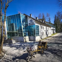 Отель Murowanica Польша, Закопане - отзывы, цены и фото номеров - забронировать отель Murowanica онлайн приотельная территория фото 2