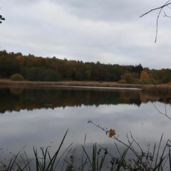 Отель FeWo Harz Haennig 1
