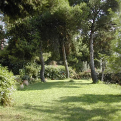 Отель Bed and Breakfast Casa del Mandorlo Сиракуза фото 3