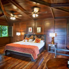 Отель Chachagua Rainforest Ecolodge комната для гостей фото 5