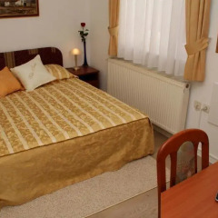 Hotel Vila Tina 3* Номер категории Эконом с различными типами кроватей фото 7