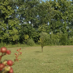 Отель Casa Vacanze Riviera del Brenta Италия, Доло - отзывы, цены и фото номеров - забронировать отель Casa Vacanze Riviera del Brenta онлайн фото 2