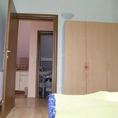 Апартаменты Apartment Rakić Нови Сад удобства в номере