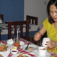 Отель Blue Elephant Guest House в номере