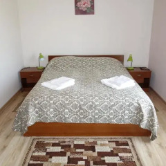Гостиница Diana Guest House Стандартный номер разные типы кроватей фото 29