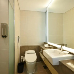 Mayplace Seoul Dongdaemun Hotel 4* Номер Делюкс фото 3