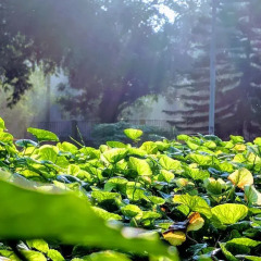 Hotel Clauria фото 2