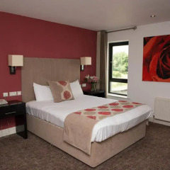 Отель Harry's of Kinnegad 3* Стандартный номер с различными типами кроватей фото 3