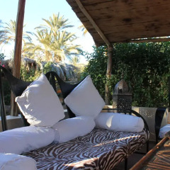 Отель Ecolodge Bab El Oued Maroc Oasis фото 7