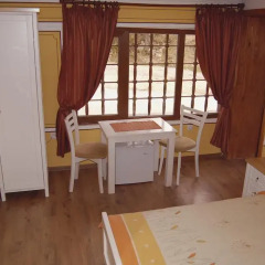 Отель Guest House Grandpa’s Mitten Болгария, Копривштица - отзывы, цены и фото номеров - забронировать отель Guest House Grandpa’s Mitten онлайн удобства в номере фото 2