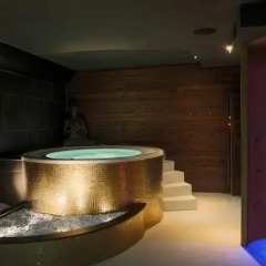 Golden Fish Hotel Apartments Пльзень бассейн фото 2