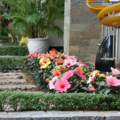 Отель Hoang Loc Villa Далат