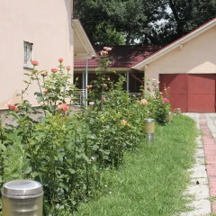 Отель Boorsok Hostel Bishkek Кыргызстан, Бишкек - отзывы, цены и фото номеров - забронировать отель Boorsok Hostel Bishkek онлайн фото 3